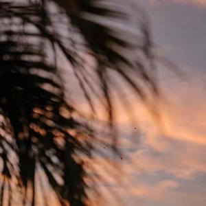 91视频免费阅读
